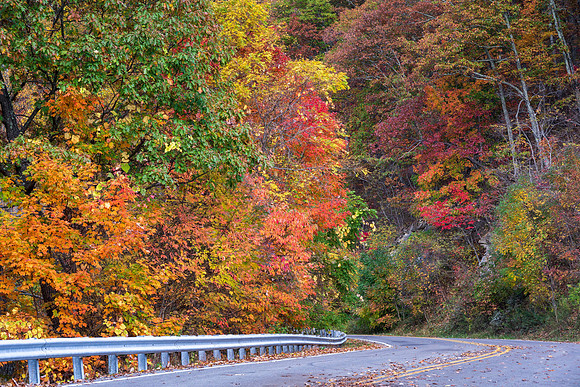 Fall_E_KY-2773