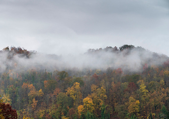 Fall_E_KY-5718
