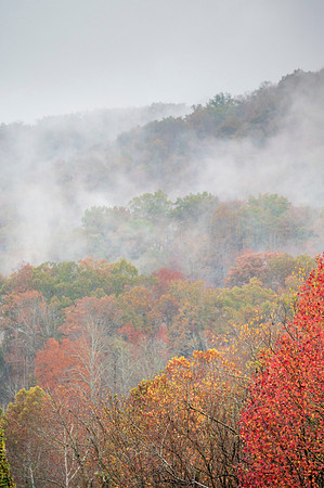Fall_E_KY-5725