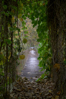 Fall_E_KY-2421