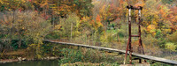 SwingingBridgeLongWayHome