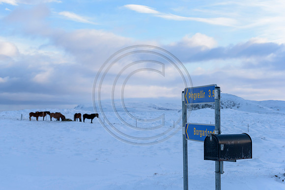 Iceland-8231