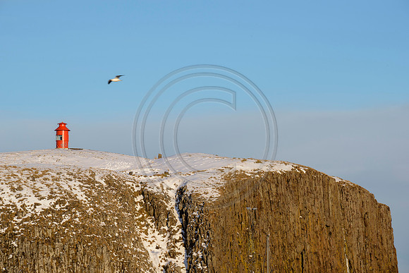 Iceland-8253