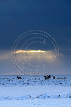 Iceland-3010