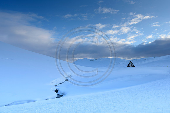 Iceland-7960