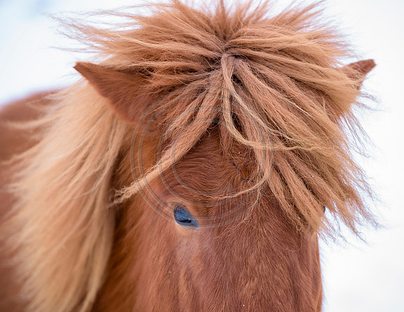 Iceland-8094