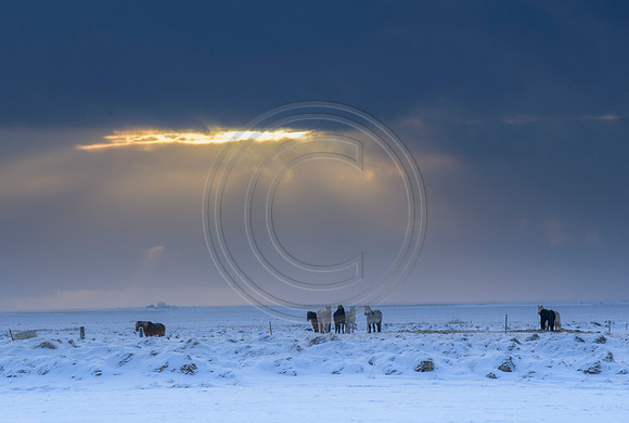 Iceland-3007