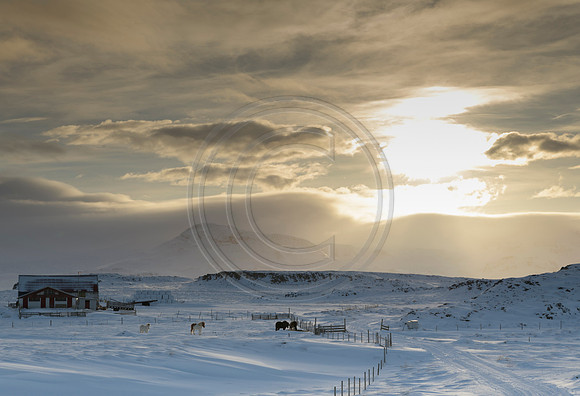 Iceland-3579