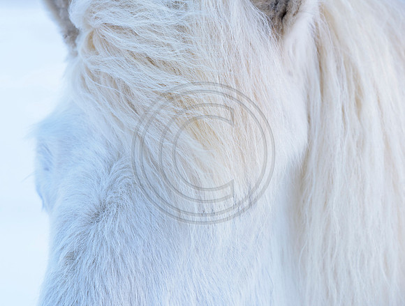 Iceland-8192