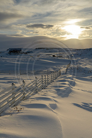 Iceland-3592