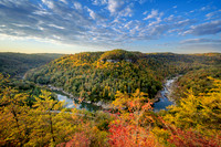 Bee_Rock8187_20x30