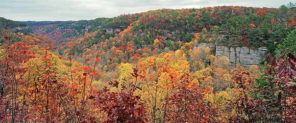 Gorge_Overlook_36