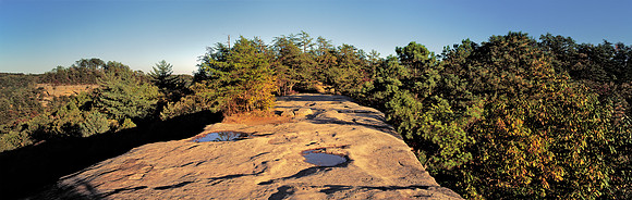NaturalBridge