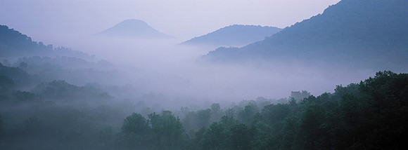 PilotKnob