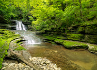 BurgessFalls1218819