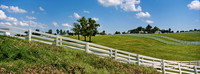 Calumet_Farm