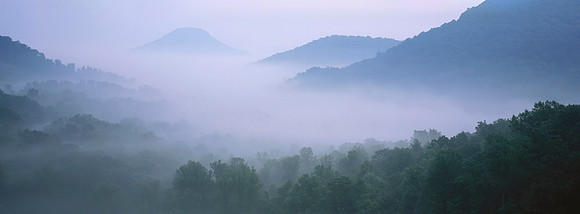 Pilot_Knob