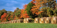 Hay_Rolls_Fall
