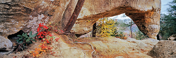 Rock_Bridge