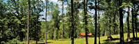 Cabin_woods