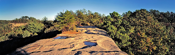 NaturalBridge