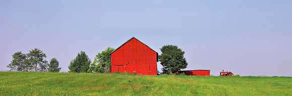 redbarn-grass
