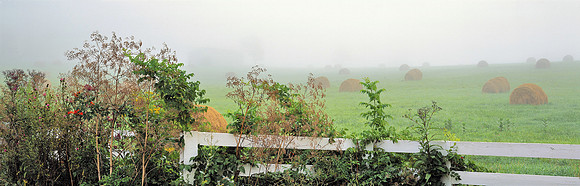 RiceRd_fog