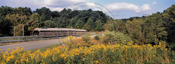 BeechFork_CB