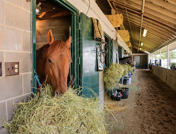 KY-KeenelandBarn5075
