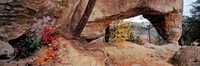 Gorge_SkyBridge