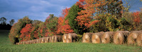 AutumnHayRolls