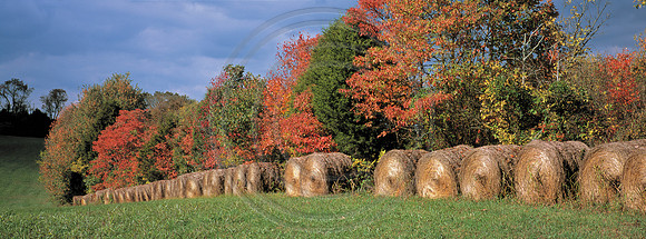 AutumnHayRolls