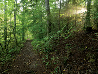 LetcherCounty_1009934