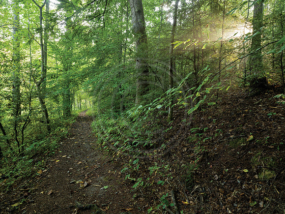 LetcherCounty_1009934