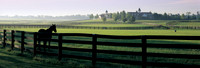 KY Seasons - Summer