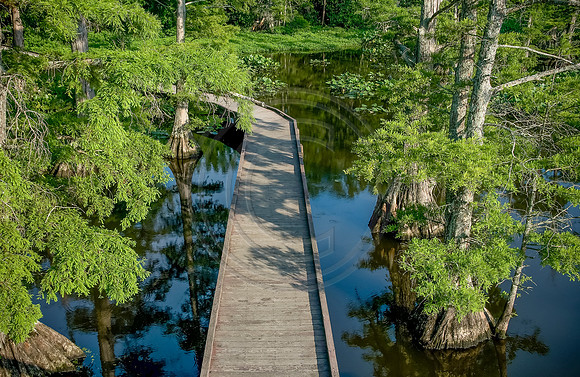 LBL_Reelfoot-4824