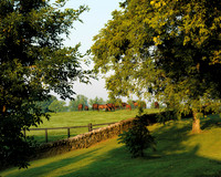 Horses1220104