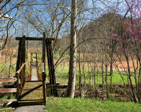 SwingingBridge-1222475