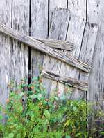 BarnDetail1221852