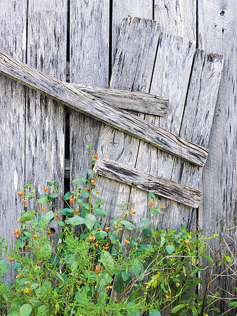 BarnDetail1221852