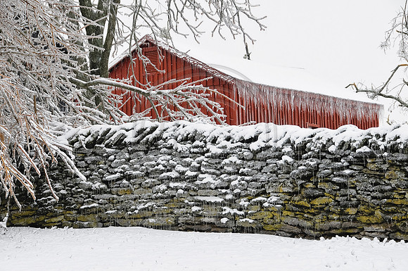 Snow-1474