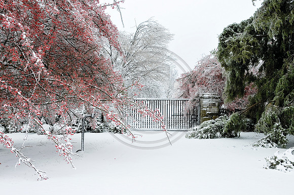 Snow-1393