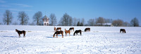 KY Seasons - Winter
