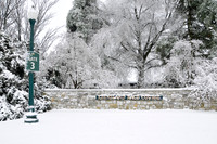 Snow-1453