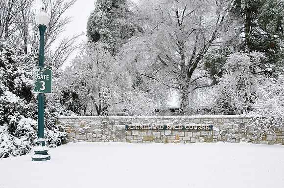 Snow-1453