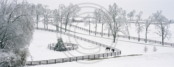 IceStormDarley