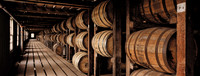 WildTurkey