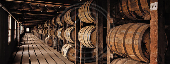 WildTurkey