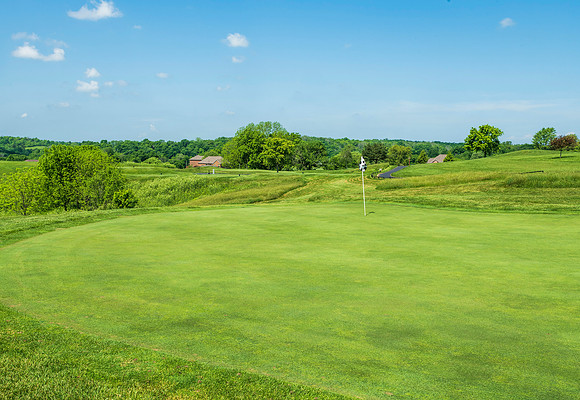 TheBull-18715