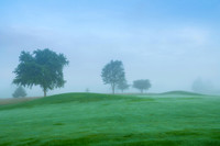 TheBull_sunrise-19383